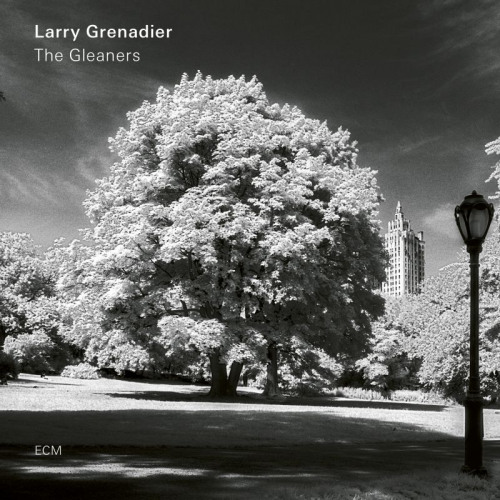 GRENADIER, LARRY - THE GLEANERSGRENADIER, LARRY - THE GLEANERS.jpg